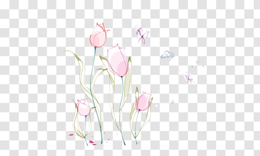 Flower Tulip Lilium - Floral Design - Hand Painted Transparent PNG