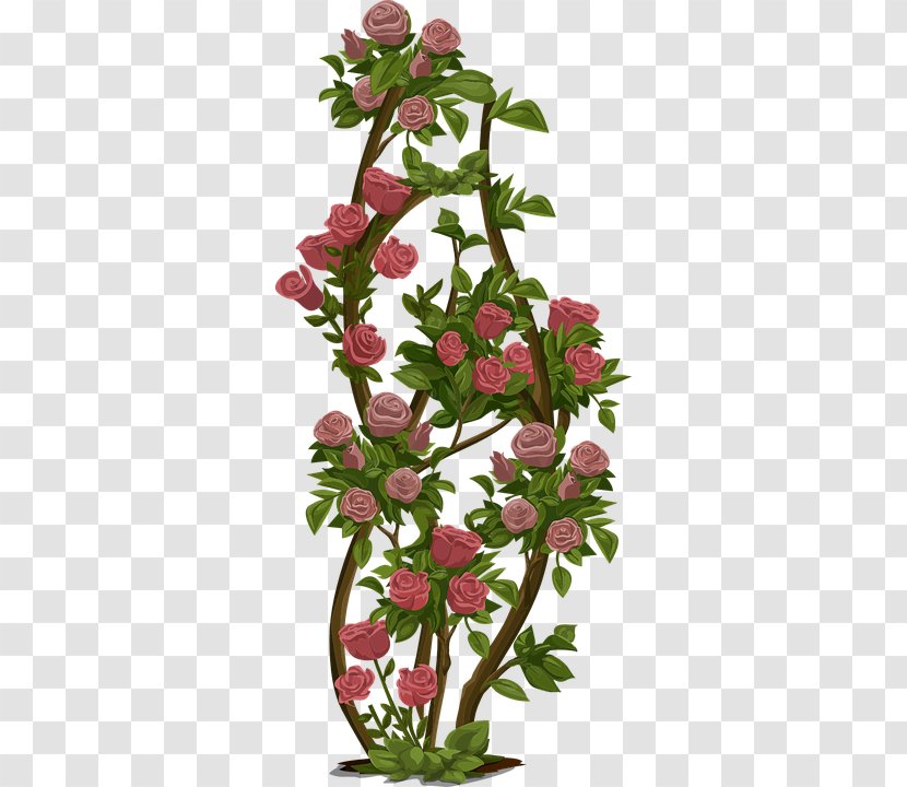 YouTube - Flowering Plant - Youtube Transparent PNG