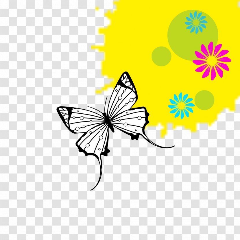 Butterfly Euclidean Vector - Organism Transparent PNG