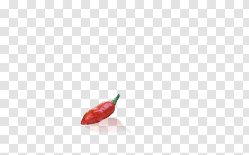 Bird's Eye Chili Serrano Pepper Tabasco Cayenne - Bell Peppers And - Cartoon Transparent PNG