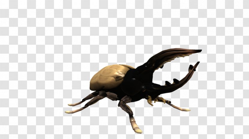 Hercules Beetle Spore Creatures Dynastes Tityus Transparent PNG