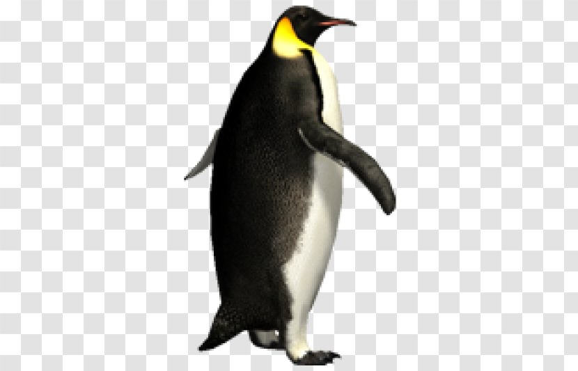 Emperor Penguin Image Clip Art - Bird Transparent PNG