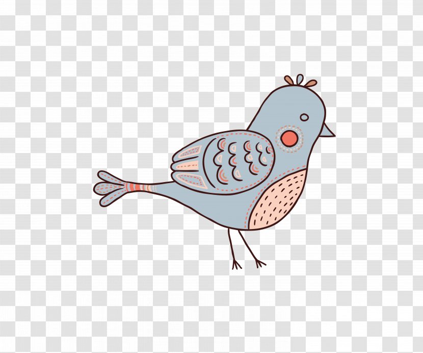 Bird Chicken Cartoon - Galliformes - Vector Animation Material Transparent PNG