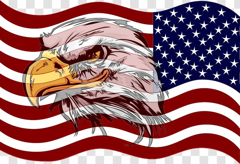 Veterans Day Usa Flag - United States - Sea Eagle Transparent PNG