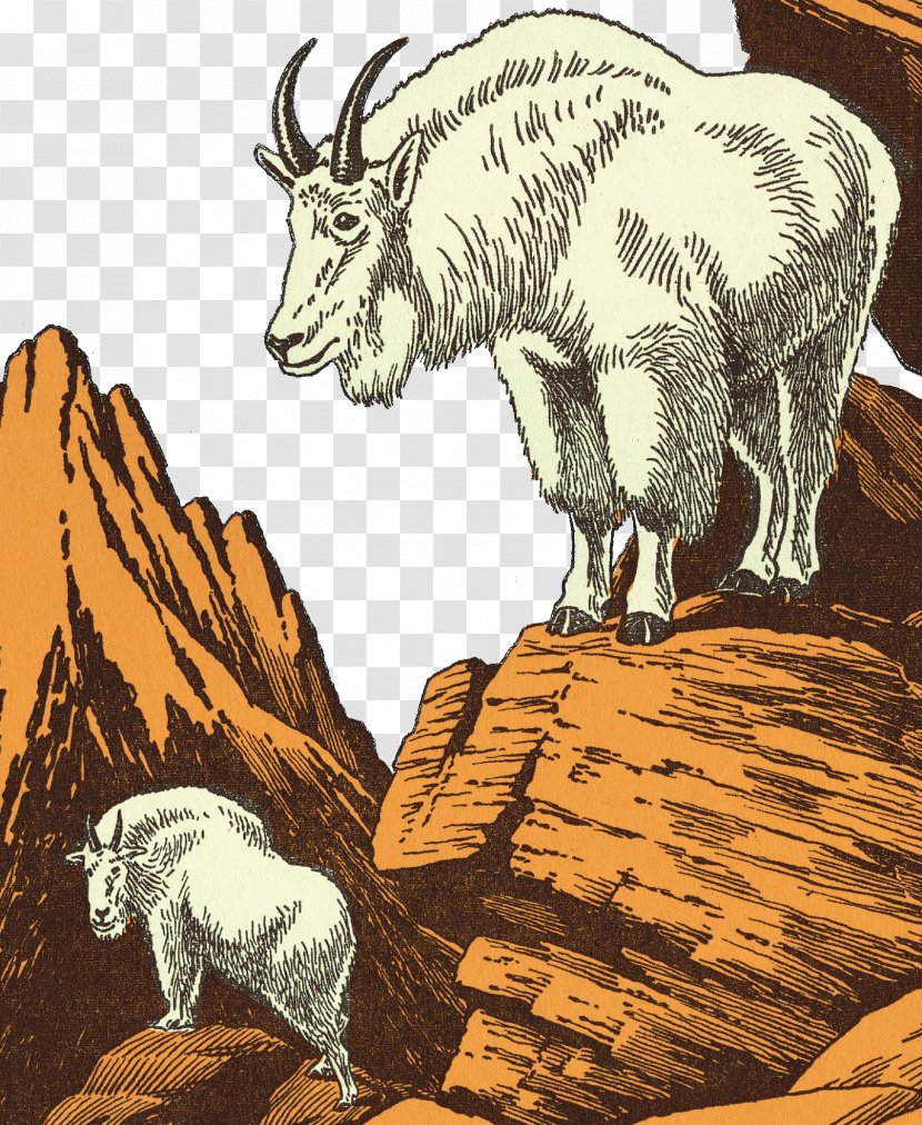 Sheep Mountain Goat Cattle Illustration - Extinction - Plateau Illustrator Transparent PNG