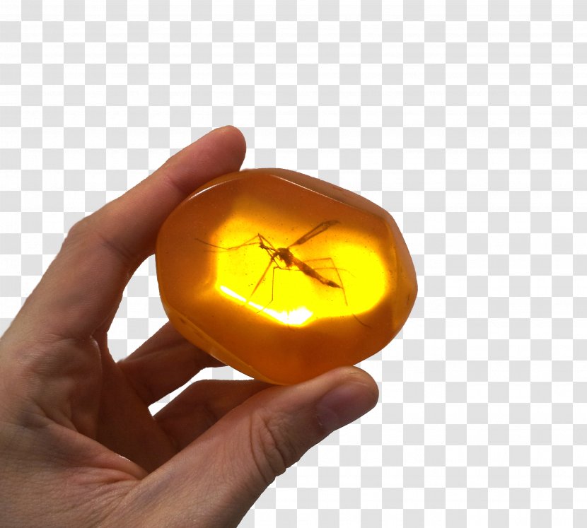 Mosquito Amber Fossil Insect Resin Transparent PNG