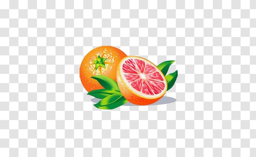 Grapefruit Juice Lemon Transparent PNG