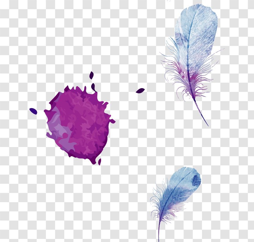 Creative Watercolor Painting Feather - Photography - Blue Vector Transparent PNG