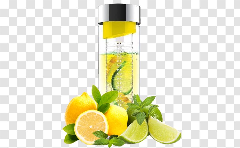 Lemon Tea - Meyer - Drinkware Herbal Transparent PNG