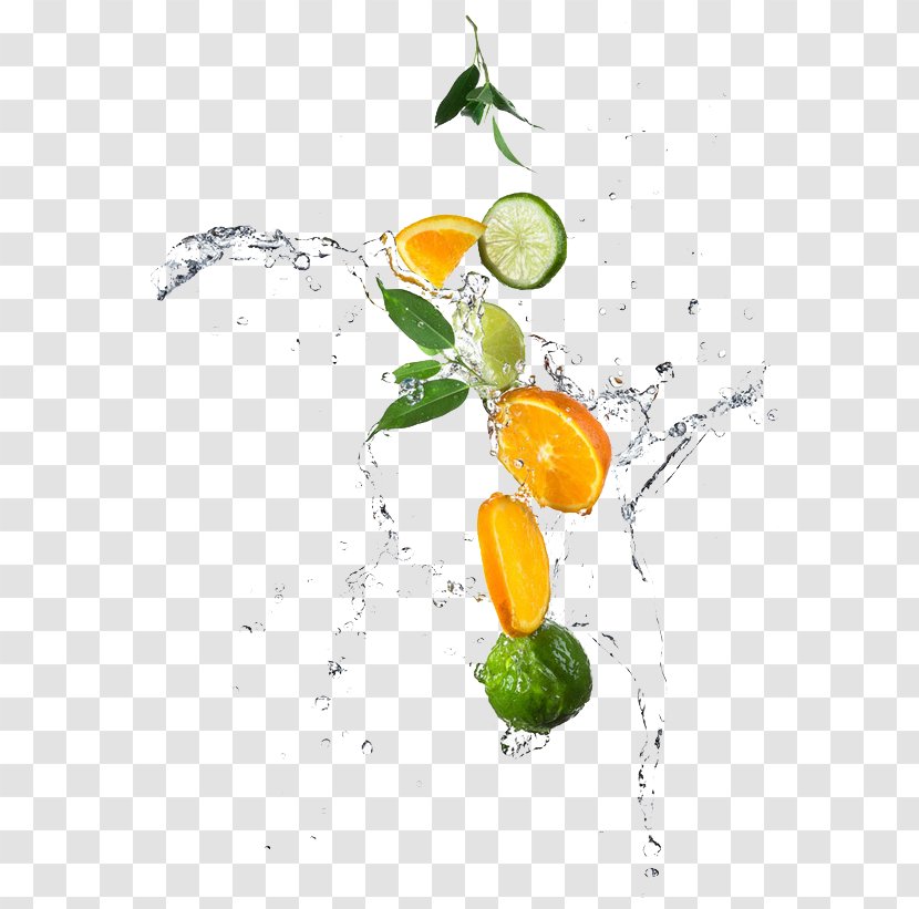 Lemon Water Lime Orange Photography - Material - Fruits And Transparent PNG