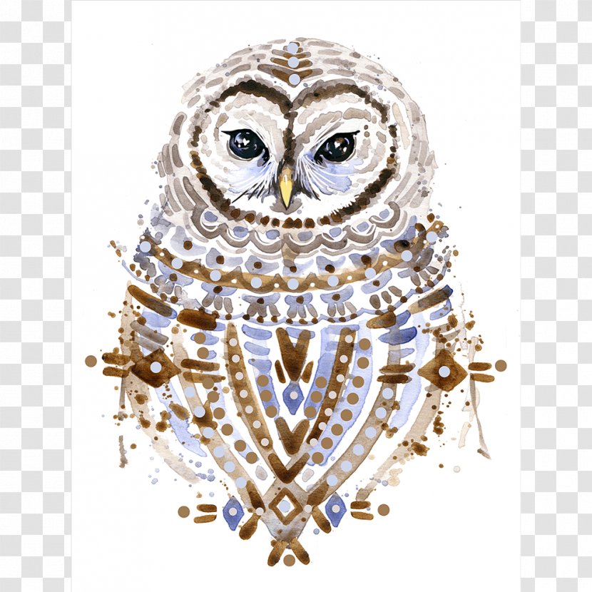 Owl Watercolor Painting Photography - Animals Transparent PNG