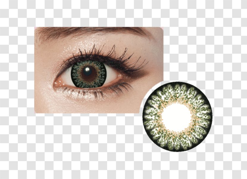 Circle Contact Lens Lenses Brown Color Green - Eye Transparent PNG
