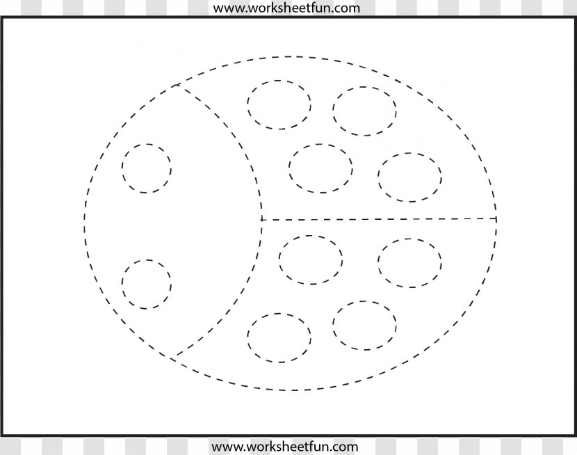 Circle Pre-school Shape Worksheet Point - Organism Transparent PNG