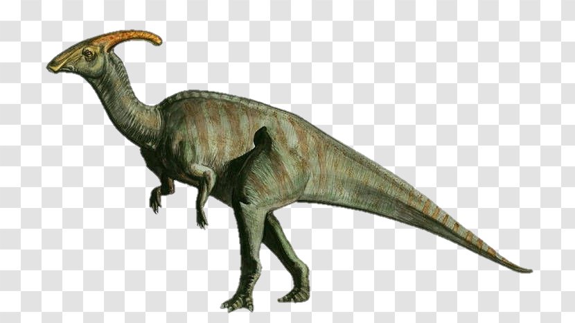 Parasaurolophus Triceratops Dinosaur Brachiosaurus Velociraptor Transparent PNG