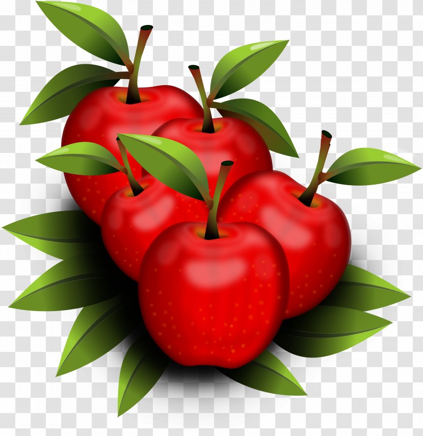 Barbados Cherry Strawberry Food Accessory Fruit - Acerola Family - One Apple A Day Keeps The Doctor Away Transparent PNG