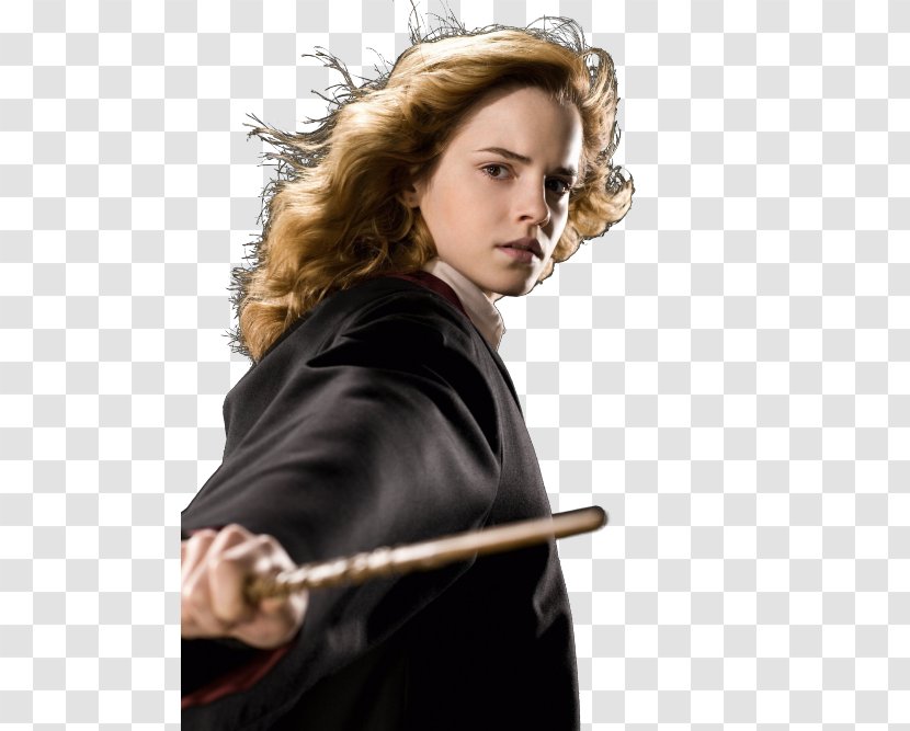 Emma Watson Hermione Granger Harry Potter And The Half-Blood Prince Ron Weasley Albus Dumbledore - Cartoon - Cute Transparent PNG