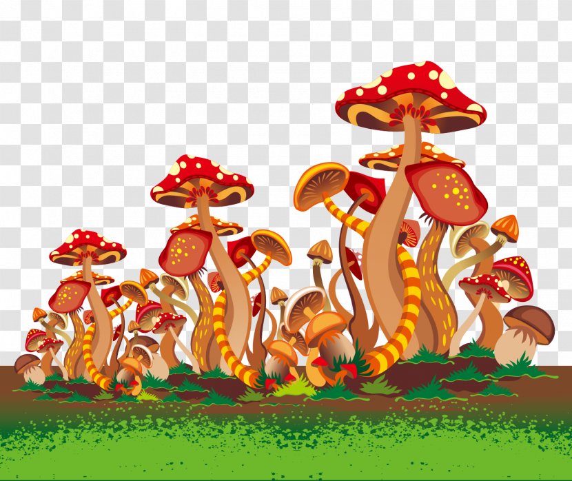 Euclidean Vector Vectormagic Adobe Illustrator - Fungus - Mushroom Jungle Transparent PNG