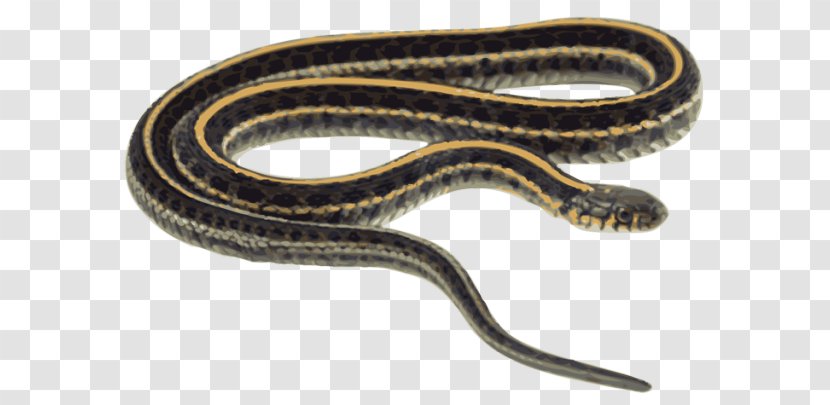 Snakes Clip Art Scaled Reptiles Eastern Garter Snake Rodent - Clipart Transparent PNG