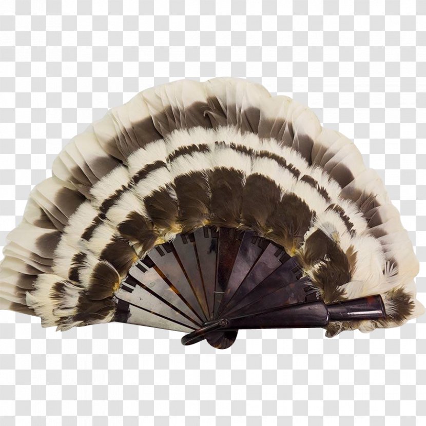 Celluloid Common Ostrich Vintage Clothing Hand Fan Feather - Fashion Transparent PNG