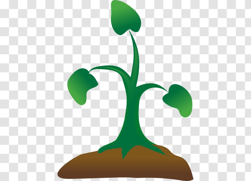 Seedling Sprouting Tree Clip Art - Green - Sapling Cliparts Transparent PNG