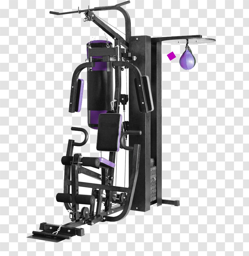 Roman Sports Elliptical Trainers Fitness Centre Sporting Goods - Active Spine And Sport Transparent PNG