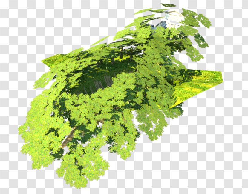 Tree Leaf Vegetable Herb Transparent PNG