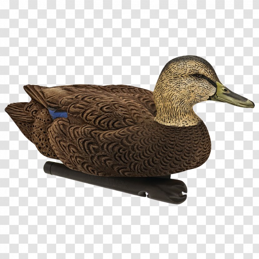 Mallard Duck Decoy Goose - Ducks Geese And Swans Transparent PNG