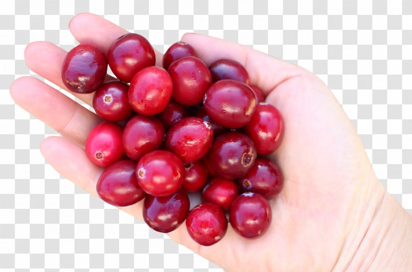 Cranberry Juice Frutti Di Bosco - Produce - Hand With Cranberries Transparent PNG