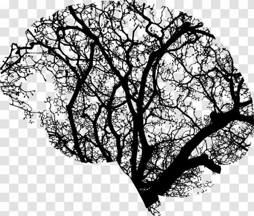 Human Brain Clip Art Tree Neuroimaging - Blackandwhite - Creative Transparent Transparent PNG