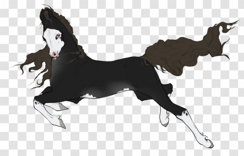 Mustang Stallion Mane Black Dog - Handsome Models Middle Transparent PNG
