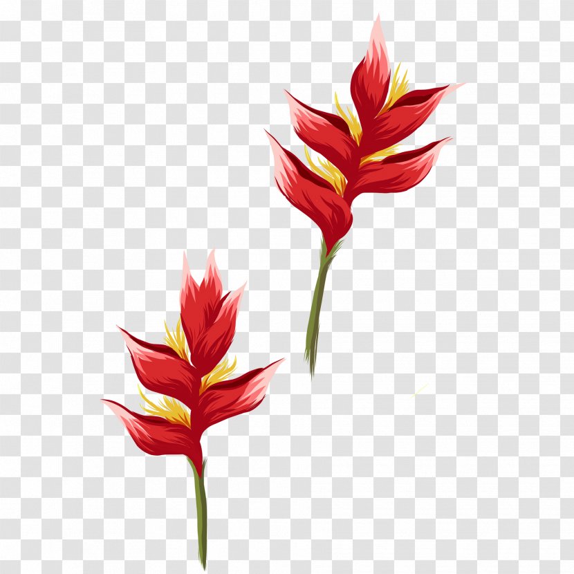 Lily Flower Cartoon - Musical Composition - Heliconia Castilleja Transparent PNG