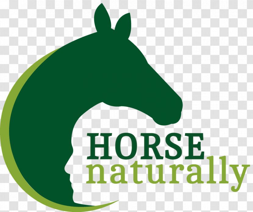 Horse Naturally Amazon.com Chinese Character Fast Finder: Simplified Characters - Snout Transparent PNG