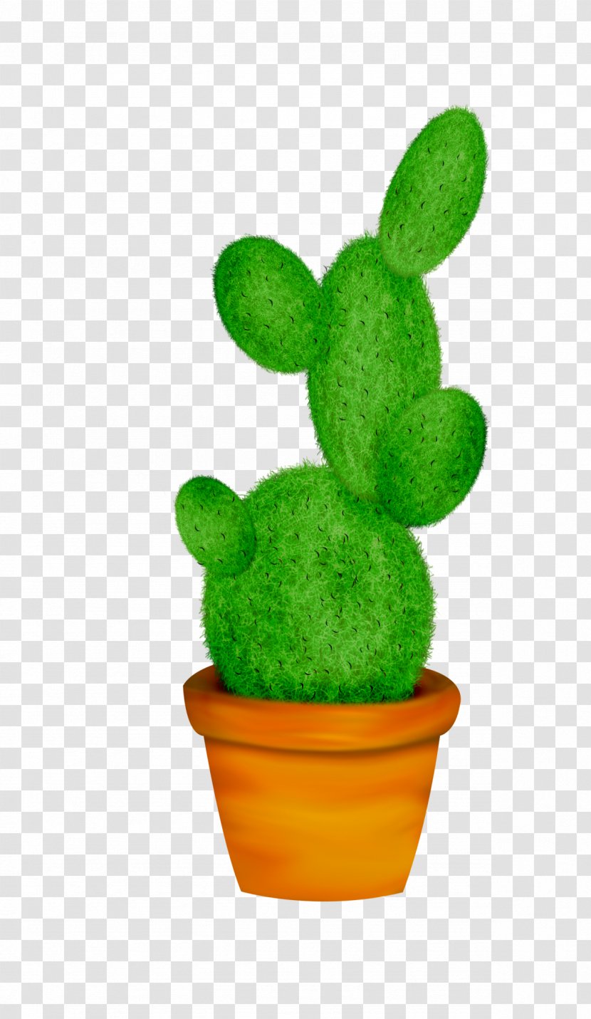 Cactaceae Cacti & Succulents Cactus Et Succulentes Succulent Plant Clip Art - Pine - Green Transparent PNG