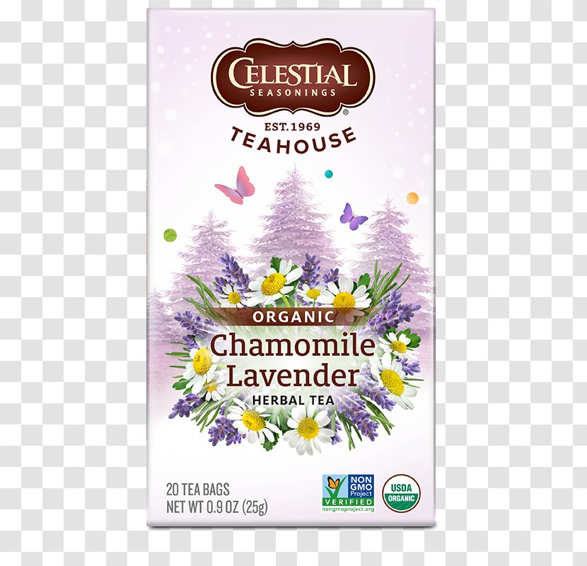 Ginger Tea Masala Chai Earl Grey Green - Flower - Chamomile Transparent PNG