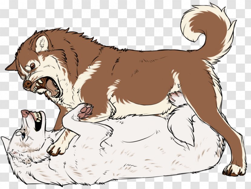 Cat Puppy Dog Breed Lion - Organism Transparent PNG