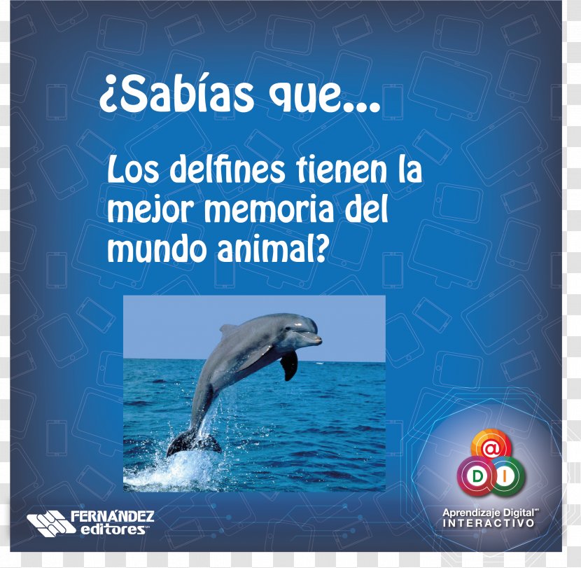 Dolphin Water Resources Advertising Stock Photography - Microsoft Azure - Sabias Que Transparent PNG