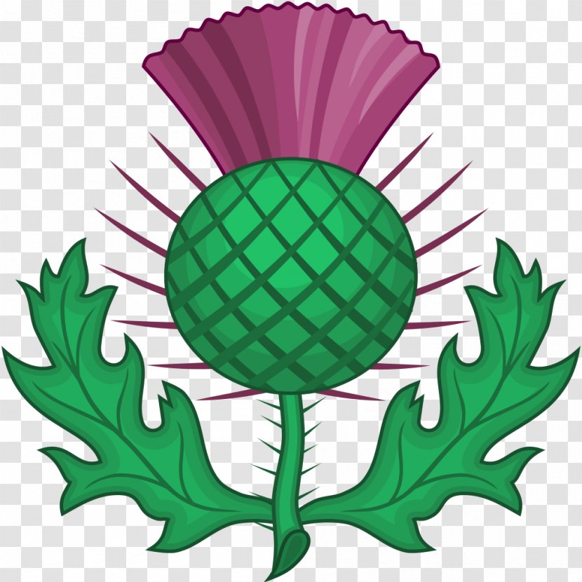 National Symbols Of Scotland Order The Thistle Clip Art - Tree Transparent PNG