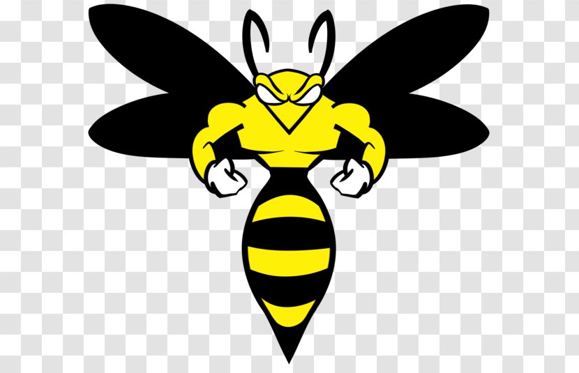 Wasp Yellowjacket Logo System - Information Transparent PNG