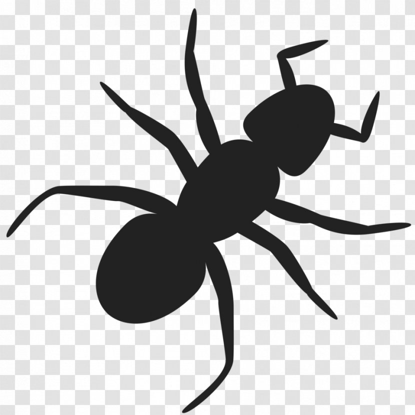 Ant Clip Art - Pest - Pollinator Transparent PNG