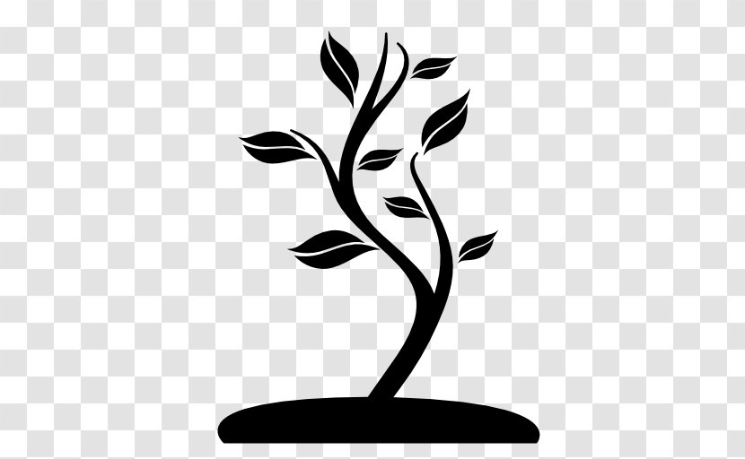 Grows - Flora - Tree Transparent PNG