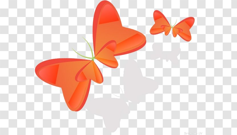 Butterfly Clip Art Product Design - Pollinator Transparent PNG