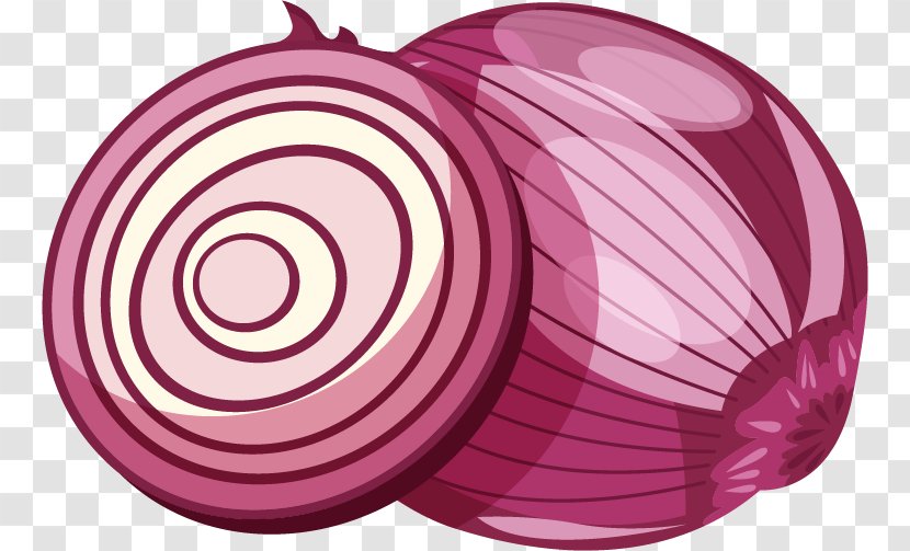Red Onion Euclidean Vector - White - Material Transparent PNG