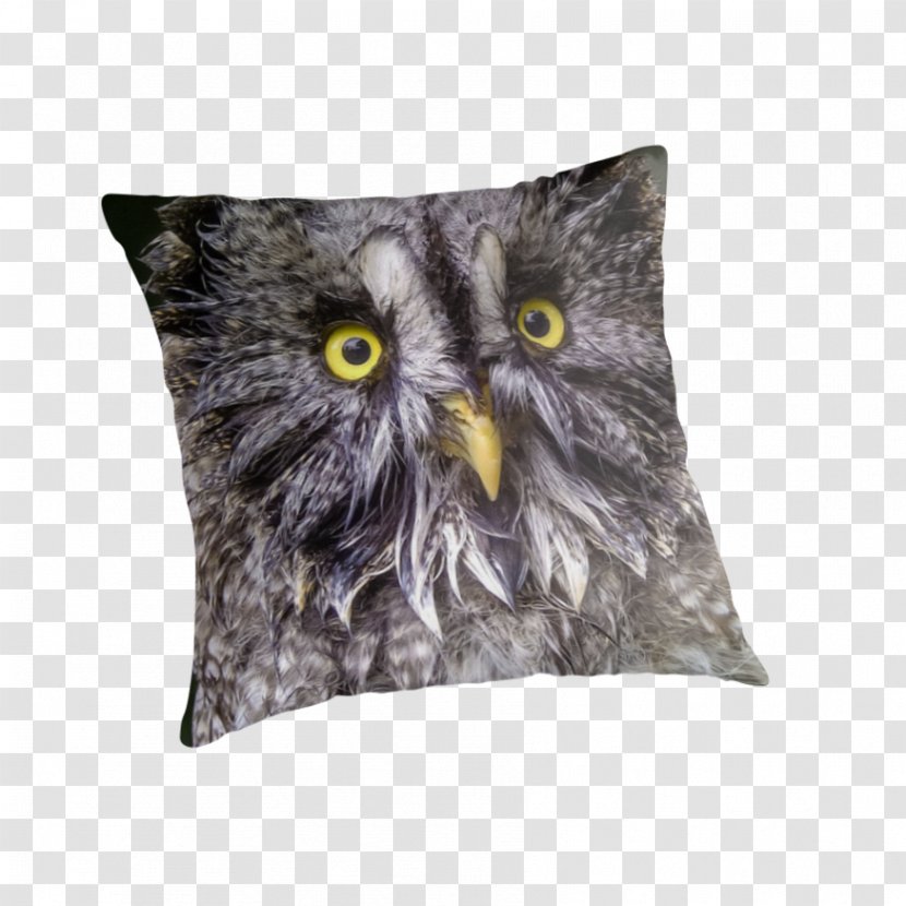 Owl Throw Pillows Cushion Snout - Grey Transparent PNG