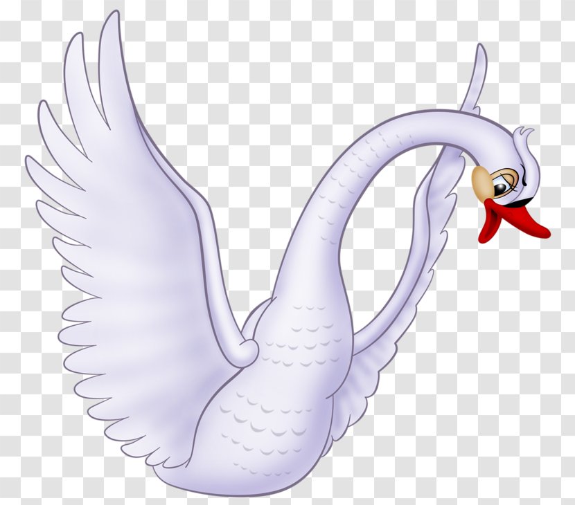 Cygnini The Ugly Duckling - Flower - Obese White Swan Transparent PNG