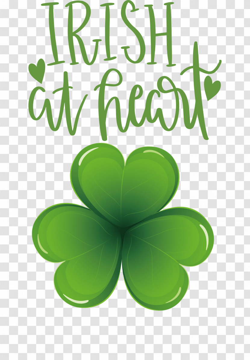 Shamrock Irish Saint Patrick Transparent PNG