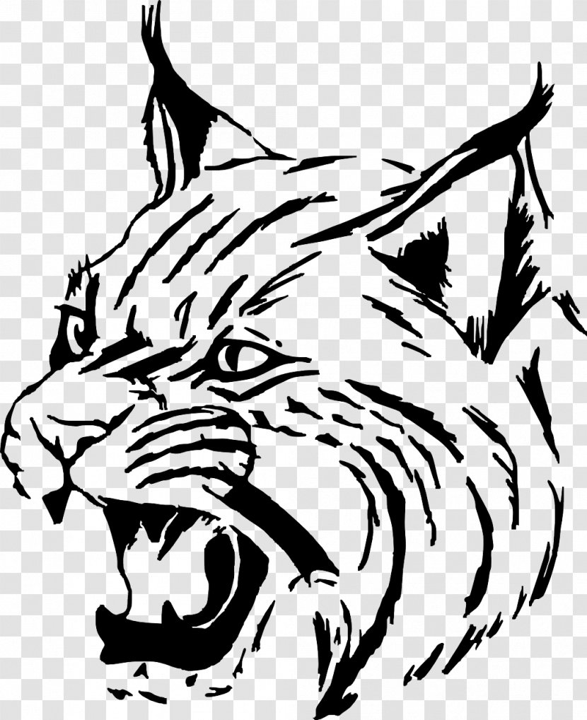 Bobcat Clip Art - Fauna - Wolf-head Transparent PNG