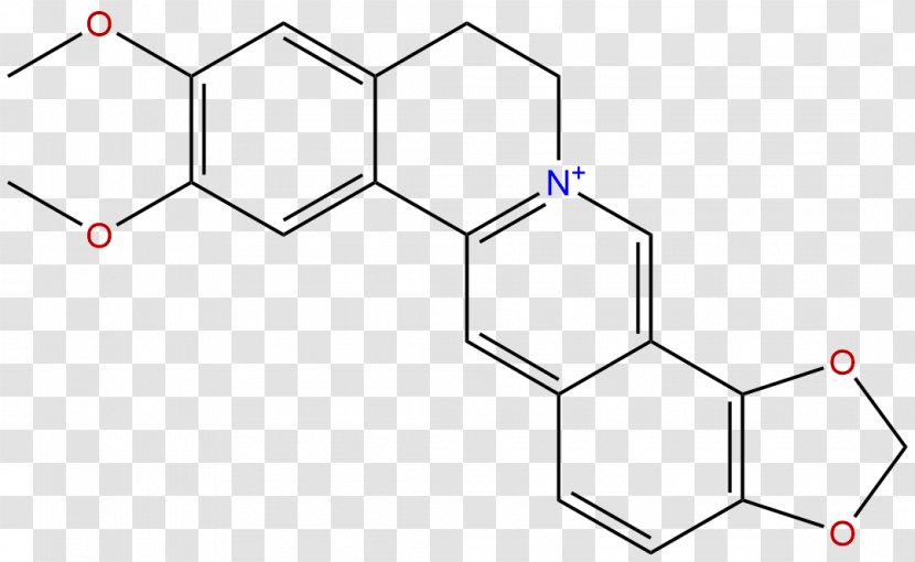 Calcitonin Gene-related Peptide Receptor Nitrogen-doped Carbon Nanotube Structure - Frame - Floribunda Transparent PNG