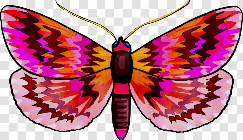 Monarch Butterfly Moth Insect Clip Art - Invertebrate - Lepidoptera Transparent PNG