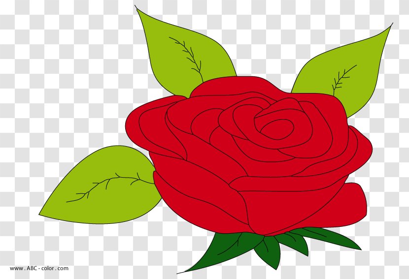 Garden Roses Drawing Clip Art - Logo Transparent PNG