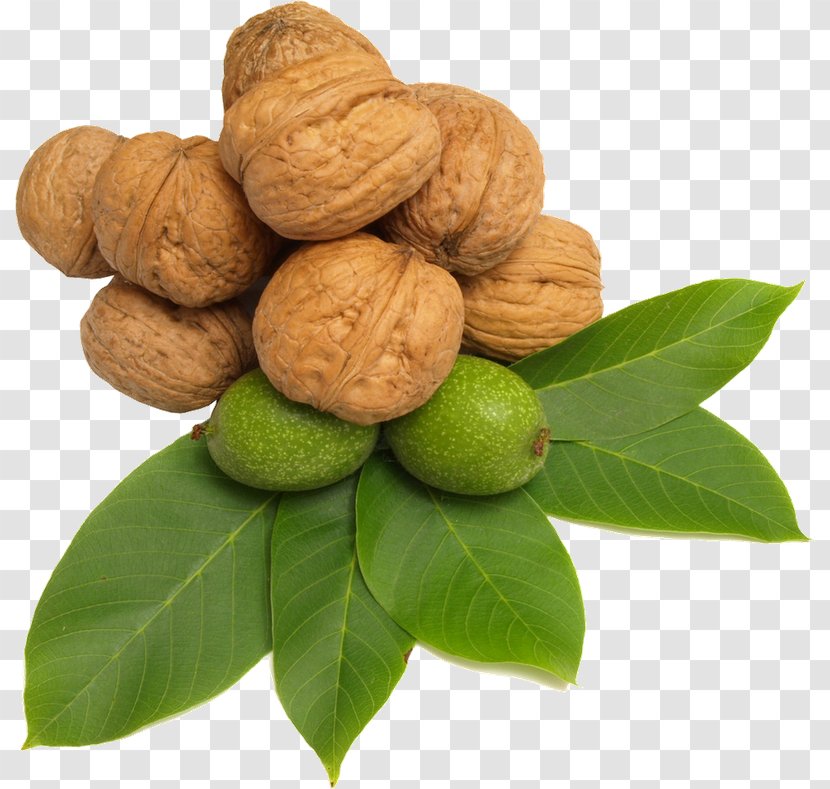 Fruit Image Walnut - Ingredient Transparent PNG